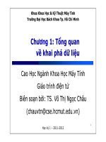 TỔNG QUAN VỀ KHAI PHÁ DỮ LIỆU. Cao Học Ngành Khoa Học Máy Tính. Giáo trình điện tử .TS Võ Thị Ngọc Châu