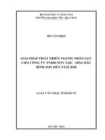 Giải pháp phát triển nguồn nhân lực cho công ty tnhh mtv lọc   hóa dầu bình sơn năm 2020    