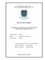 ĐỒ ÁN TỐT NGHIỆP NGHIÊN CỨU CHẾ TẠO CÁC HẠT GEL CHITIN KÍCH THƯỚC NHỎ TỪ VỎ CUA