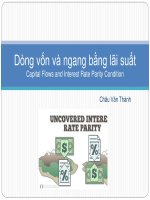 Bài giảng 7. Dòng vốn và ngang bằng lãi suất