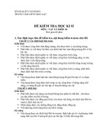 de thi hoc ki2 lop 10 co ma tran