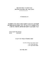 Nghiên cứu bản chất kiến tạo của tổ hợp đá rhyolite khu vực tú lệ và ý nghĩa của chúng trong bình đồ kiến tạo khu vực    