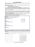 Thuat toan tren mang hai chieu