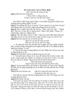 Cau hoi On tap Ngu van 9 ky II