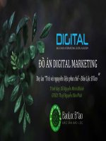 ĐỒ ÁN DIGITAL MARKETING Dự án: “Trà nguyên liệu pha chế - Bảo Lộc B’lao ” GVHD: Th.sỹ Nguyễn Hữu Phát