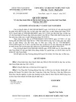 Ban hanh Dieu le Hoi thi thiet bi day hoc tu lamtinh Nam Dinh Nam hoc 20112012