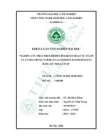 Nghiên cứu phát triển bệnh viêm ruột hoạt tử ở lợn và gà do chủng vi khuẩn clostridium perfringens bằng kỹ thuật PCR 