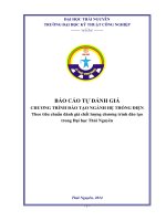 BÁO CÁO TỰ ĐÁNH GIÁ CHƯƠNG TRÌNH ĐÀO TẠO NGÀNH HỆ THỐNG ĐIỆN Theo tiêu chuẩn đánh giá chất lượng chương trình đào tạo trong Đại học Thái Nguyên