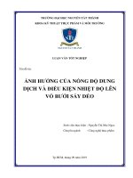 LUẬN VĂN TỐT NGHIỆP Tên đề tài: ẢNH HƯỞNG CỦA NỒNG ĐỘ DUNG DỊCH VÀ ĐIỀU KIỆN NHIỆT ĐỘ LÊN VỎ BƯỞI SẤY DẺO