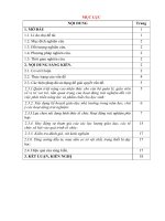 Một số giải pháp quản lý chỉ đạo tổ chức hoạt động trải nghiệm góp phần hình thành và phát triển các phẩm chất và năng lực cho học sinh ở trường tiểu học cẩm thạch 