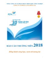 CÔNG TY CỔ PHẦN CẢNG ĐỒNG NAI BÁO CÁO THƯỜNG NIÊN 2018