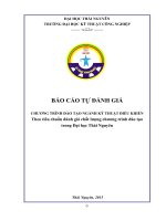 TRƯỜNG ĐẠI HỌC KỸ THUẬT CÔNG NGHIỆP. BÁO CÁO TỰ ĐÁNH GIÁ CHƯƠNG TRÌNH ĐÀO TẠO NGÀNH KỸ THUẬT ĐIỀU KHIỂN