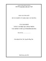BÁO CÁO ĐỀ TÀI NCKH ; CÁC GIẢI PHÁP NÂNG CAO HIỆU QUẢ HOẠT ĐỘNG TÀI CHÍNH VI MÔ TẠI TỈNH BÌNH DƢƠNG