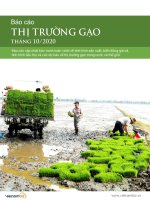 Báo cáo THỊ TRƯỜNG GẠO Tháng 10/2020