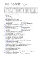 de thi HK II tin 10 TN TL