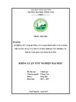 Nghiên cứu ảnh hưởng của loại phân hữu cơ vi sinh đến năng suất và chất lượng khoai tây sinora vụ đông năm 2016 tại thái nguyên 