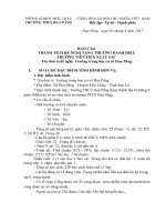 bao cao thanh tich nha truong