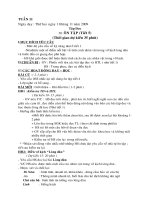 Tuan 11