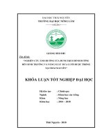 Nghiên cứu ảnh hưởng của một số loại dung dịch dinh dưỡng đến sinh trưởng phát triển của giống dưa lưới hàn quốc tại thái nguyên 