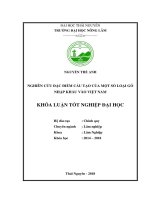 Nghiên cứu đặc điểm cấu tạo của một số loại gỗ nhập khẩu vào việt nam 