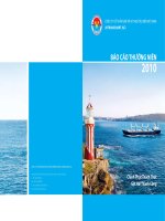CÔNG TY CỔ PHẦN VẬN TẢI VÀ THUÊ TÀU BIỂN VIỆT NAM (VITRANSCHART JSC) BÁO CÁO THƯỜNG NIÊN 2010