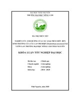 Nghiên cứu ảnh hưởng của các loại phân bón đến sinh trưởng của cây lan phi điệp dendrobium anosmum tại vườn lan trường đại học nông lâm thái nguyên 