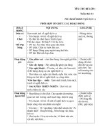 giáo án phụ tuần 14