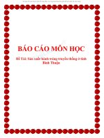 BÁO CÁO MÔN HỌC Đề Tài: Sản xuất bánh tráng truyền thống ở tỉnh Bình Thuận