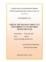 Những thứ họ mang theo  và vấn đề chiến tranh việt nam     