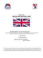 BÁO CÁO HỒ SƠ THỊ TRƯỜNG ANH MÃ HOẠT ĐỘNG: EU-15