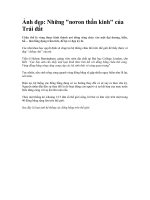 Nhung noron than kinh cua trai Dat