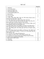 Một số giải pháp bồi dưỡng chuyên môn cho đội ngũ giáo viên nhằm nâng cao chất lượng giảng dạy ở trường TH nga thái  