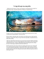 Ve dep bat ngo cua song bien