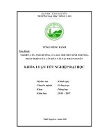 Nghiên cứu ảnh hưởng của giá thể đến sinh trưởng phát triển của cây dâu tây tại thái nguyên 