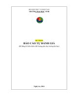 TRƯỜNG ĐẠI HỌC VINH  BÁO CÁO TỰ ĐÁNH GIÁ (Để đăng kí kiểm định chất lượng giáo dục trường đại học)