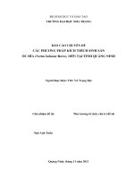 BÁO CÁO CHUYÊN ĐỀ CÁC PHƯƠNG PHÁP KÍCH THÍCH SINH SẢN ỐC ĐĨA (Nerita balteata Reeve, 1855) TẠI TỈNH QUẢNG NINH
