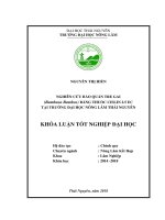 Nghiên cứu bảo quản tre gai bambusa bambos bằng thuốc cislin 2 5 ec 