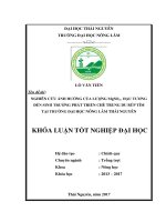 Nghiên cứu ảnh hưởng của lượng mgso4 đậu tương đến sinh trưởng phát triển của giống chè trung du búp tím tại trường đại học nông lâm thái nguyên 