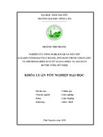 Nghiên cứu công nghệ bảo quản mây nếp calamus tetradactylus hance 1975 bằng thuốc cislin 2 5ec và chế phẩm chiết suất từ sả java phục vụ sản xuất đồ thủ công mỹ nghệ 