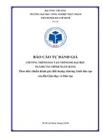 BÁO CÁO TỰ ĐÁNH GIÁ CHƯƠNG TRÌNH ĐÀO TẠO TRÌNH ĐỘ ĐẠI HỌC NGÀNH TÀI CHÍNH NGÂN HÀNG Theo tiêu chuẩn đánh giá chất lượng chương trình đào tạo của Bộ Giáo dục và Đào tạo