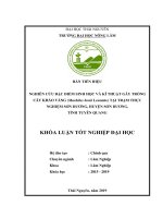 Nghiên cứu đặc điểm sinh học và kỹ thuật gây trồng loài kháo vàng machilus bonii lecomte tại trạm thực nghiệm sơn dương huyện sơn dương tỉnh tuyên quang 