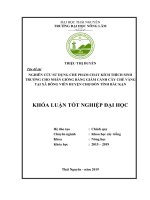 Nghiên cứu sử dụng chế phẩm chất kích thích sinh trưởng cho nhân giống bằng giâm cành cây chè hoa vàng tại xã đông viên huyện chợ đồn tỉnh bắc kạn 