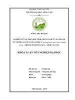 Nghiên cứu sự biến đổi tính chất co rút và giãn nở từ tâm ra vỏ của gỗ sa mộc cunninghamia lanceolata lamb hook trồng ở huyện sa pa tỉnh lào cai 