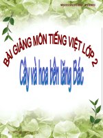 Tập đọc - Tuần 31 - Bài: Cây và hoa bên lăng Bác