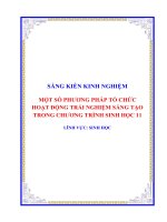 SKKN một số phương pháp tổ chức hoạt động trải nghiệm sáng tạo trong chương trình sinh học 11 