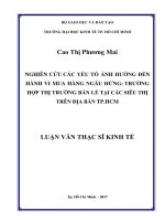 Luận văn kinh tế nghiên cứu các yếu tố ảnh hưởng đến hành vi mua hàng ngẫu hứng   trường hợp thị trường bán lẻ tại các siêu thị trên địa bàn TPHCM​ 