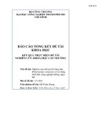 Nghiên cứu chế tạo bê tông nhẹ ( polystyrene concrete) có sử dụng chất thải nguy hại   báo cáo đề tài nghiên cứu khoa học cấp trường 