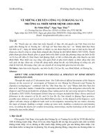 Về những chuyến công vụ ở hoàng sa và trường sa thời minh mệnh (1833 1838) 