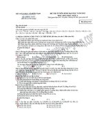 Dedap an Hoa DH KA20122013httpthaynsthcolvioletvn