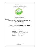 Nghiên cứu quy trình sản xuất trà hòa tan từ nấm lim xanh 